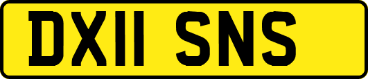 DX11SNS