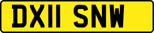 DX11SNW