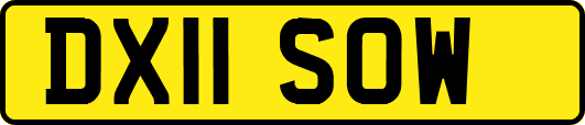 DX11SOW