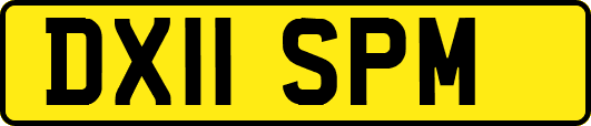 DX11SPM