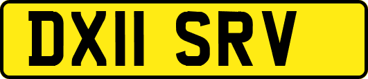 DX11SRV