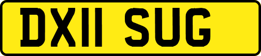 DX11SUG