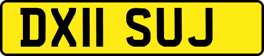 DX11SUJ