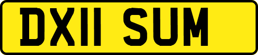 DX11SUM