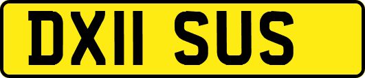 DX11SUS