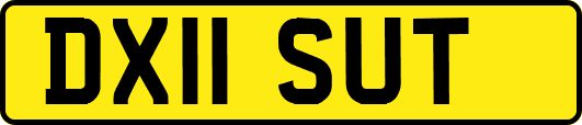 DX11SUT