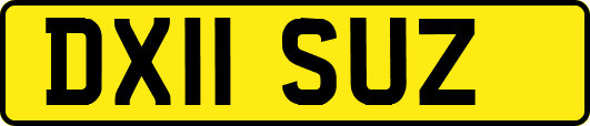 DX11SUZ