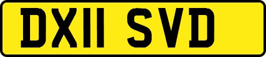 DX11SVD