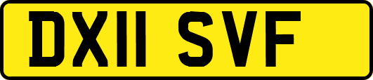 DX11SVF