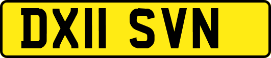 DX11SVN
