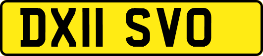 DX11SVO