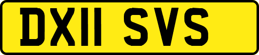 DX11SVS