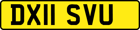 DX11SVU