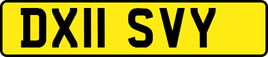 DX11SVY