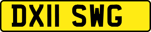DX11SWG