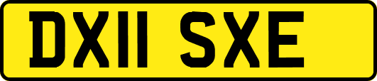 DX11SXE