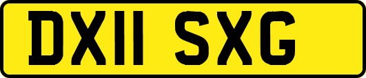 DX11SXG