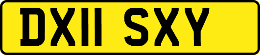 DX11SXY
