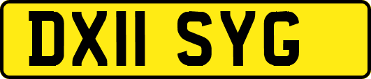 DX11SYG