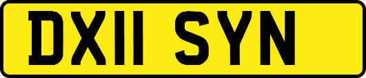 DX11SYN
