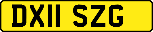 DX11SZG