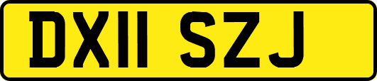 DX11SZJ
