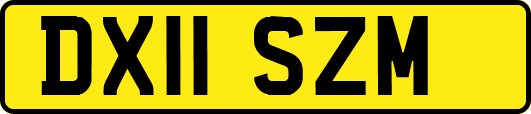 DX11SZM