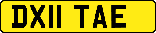 DX11TAE