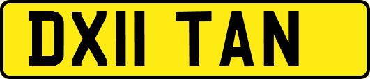 DX11TAN