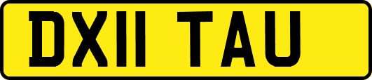 DX11TAU