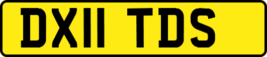 DX11TDS