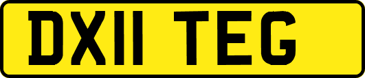 DX11TEG