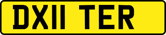 DX11TER
