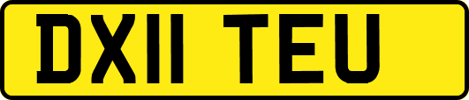 DX11TEU