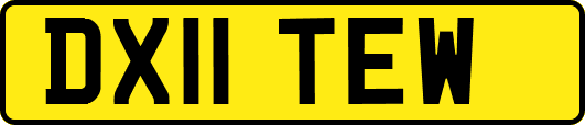 DX11TEW