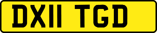 DX11TGD