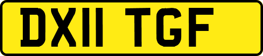 DX11TGF