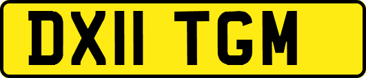 DX11TGM