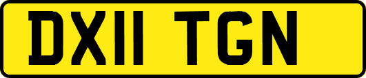 DX11TGN