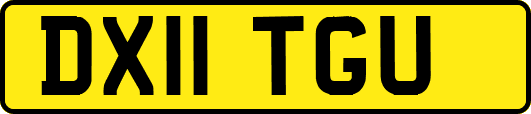 DX11TGU