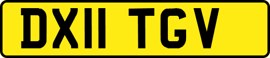 DX11TGV