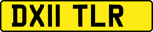 DX11TLR