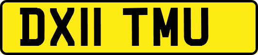 DX11TMU
