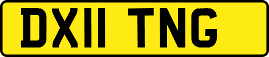 DX11TNG
