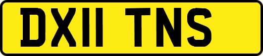 DX11TNS