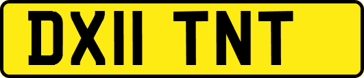 DX11TNT