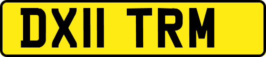 DX11TRM