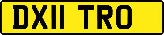 DX11TRO