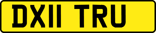 DX11TRU
