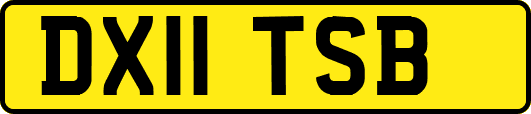 DX11TSB